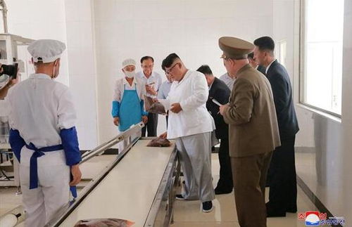 金正恩视察朝军方食品加工厂纳豆生产线，称赞其健康价值